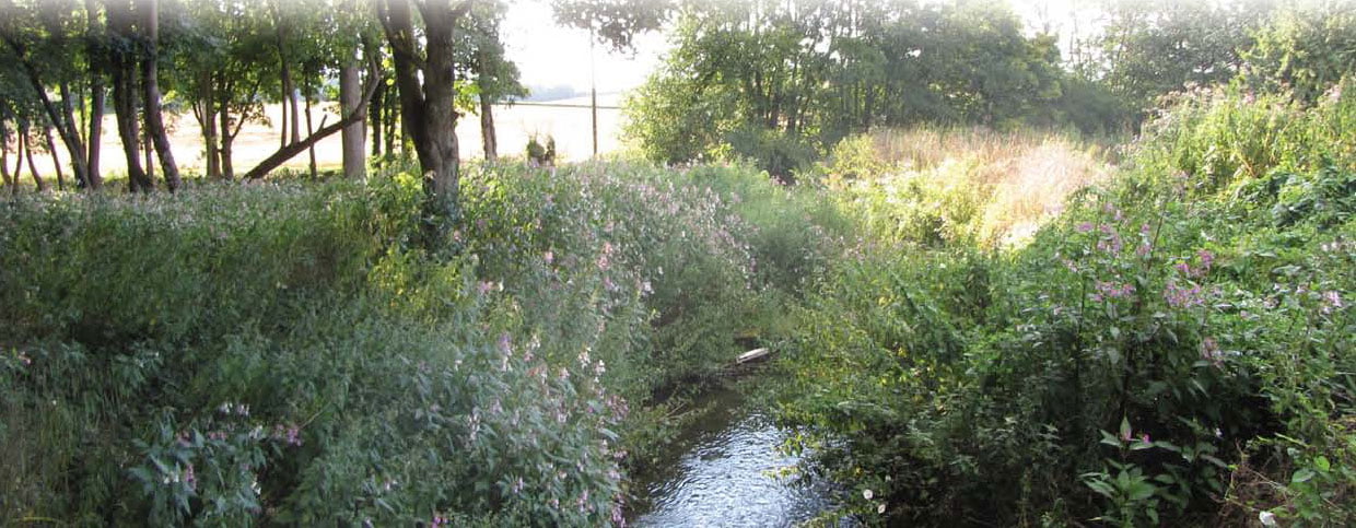 New Solutions to Freshwater Pollution Higher water quality at lower cost