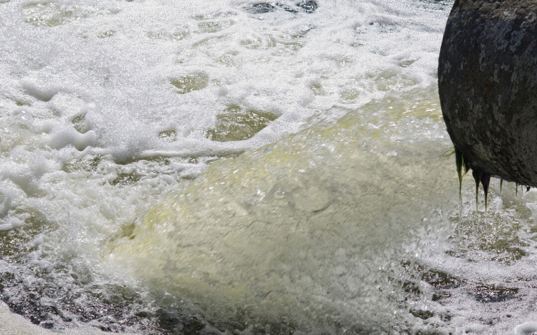 Health & Nature at Risk – Urgent Help Needed to Tackle River Water Pollution
