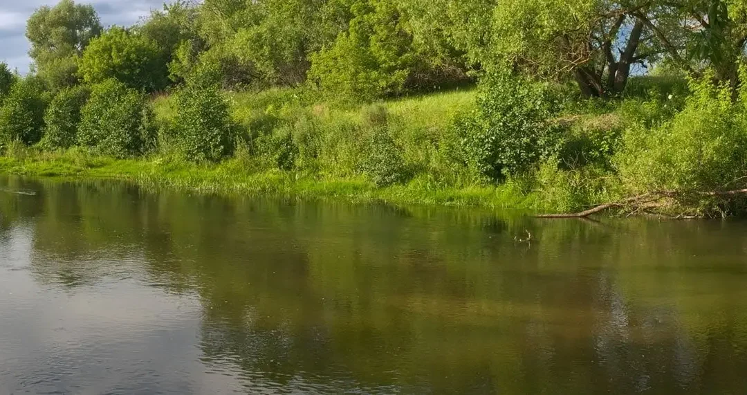 NUTREM® Chemical-free BNR = Zero Environmental Damage