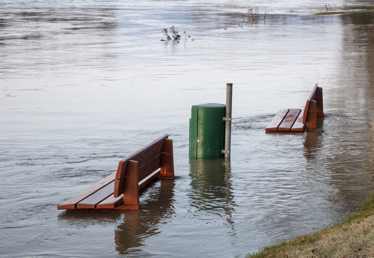 Plantwork Systems response to flooding and climate change