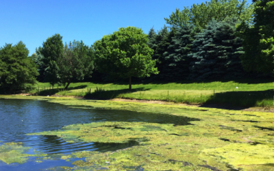 From Phosphorus Compliance to Nitrogen Control: The Next Phase of Water Quality Improvement